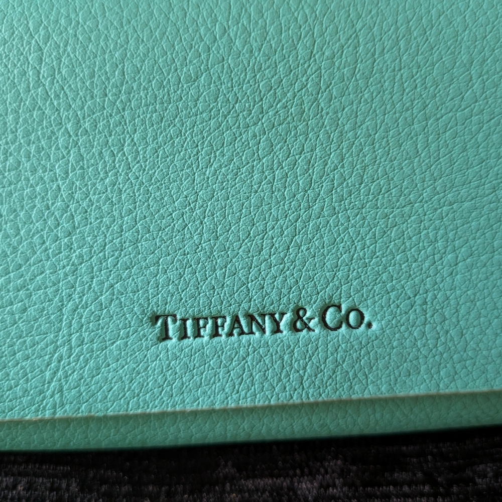 Tiffany & Co. Turquoise Case